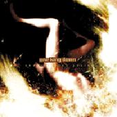 One King Down - Gravity Wins Again