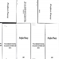 Perfect Pussy - I Have Lost All Desire For Feeling [Cassette]