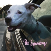 Pet Symmetry - Two Songs About Cars. Two Songs With Long Titles. [7-inch]