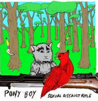 Pony Boy - Sexual Assault Rifle [12 inch] (Cover Artwork)