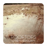 Rooftops - A Forest of Polarity (Cover Artwork)