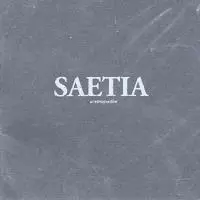 洋楽 SAETIA / A Retrospective Saetia - A Retrospective | Punknews.org