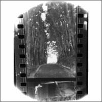 Seahaven - Winter Forever