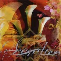 Seemless - What Have We Become (Cover Artwork)