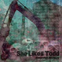 She Likes Todd - Expose Reality [7 inch] (Cover Artwork)
