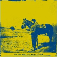 Sick Sick Birds - Gates of Home [12-inch]