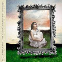Small Towns Burn a Little Slower - Mortality As Home Entertainment (Cover Artwork)