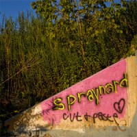 Spraynard - Cut & Paste [12 inch]