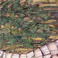 The Bronzed Chorus  - I'm the Spring (Cover Artwork)