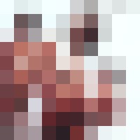 The Dwarves - Blood Guts & Pussy