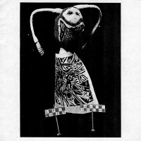 The Magits - Fully Coherent [7-inch]