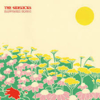 The Sidekicks - Happiness Hours