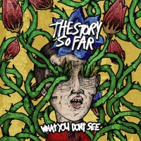 The Story So Far What You Don t See Punknews