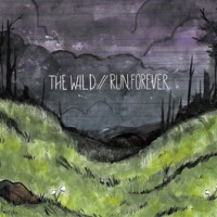 The Wild / Run, Forever - Split [7-inch]