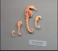 The Jade Shader - Curse of the Tuatara