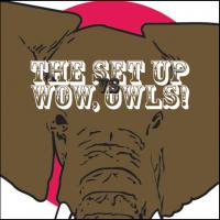 The SetUp / Wow, Owls! - Split [7 inch]