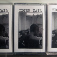Tiger Tail - Demo 2011 (Cover Artwork)