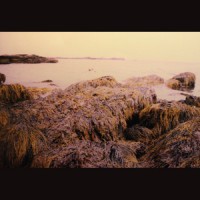 Trust Fall - Secret Keeper