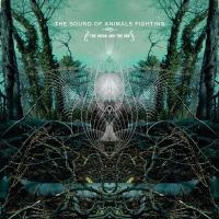 The Sound of Animals Fighting - The Ocean and the Sun