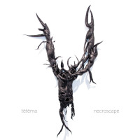 tētēma - Necroscape