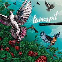 Turnspit - Desire Paths (Cover Artwork)