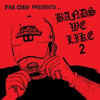 Various - Bands We Like 2