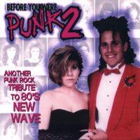 Various - Before You Were Punk 2