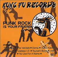 Various - Punk Rock Is Your Friend
