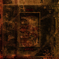 Vein / .Gif From God - A Release of Excess Flesh [7-inch]