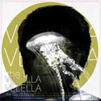 Velella Velella - The Bay of Biscay