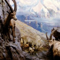 Velveteen - 27 (Cover Artwork)