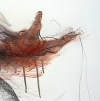 Victor! Fix the Sun - Person Place or Thing [12 inch]