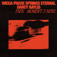 Wicca Phase Springs Eternal - This Moment I Miss [EP]