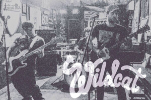 Check out the new track from Wildcat!