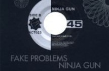 Fake Problems / Ninja Gun split 7" released