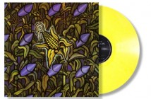 Bad Religion repress 'Against the Grain' on vinyl
