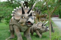 Motion City Soundtrack (Australia, Japan, UK, US)