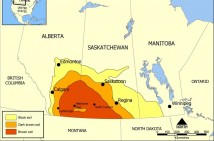 The New Pornographers / The Mountain Goats (Canada)