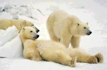 The People Must Have Something Good To Read