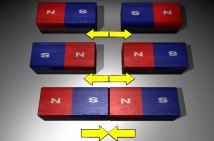 Dear Landlord live at The Fest 9