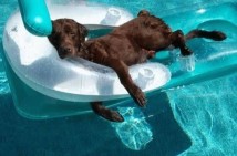 The People Must Have Something Good To Read