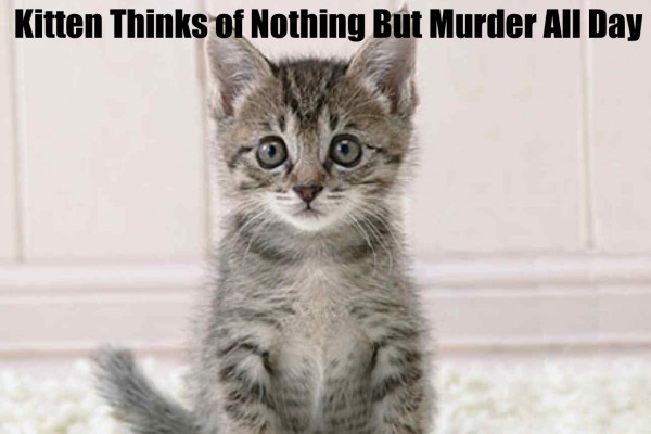I See Stars: "Murder Mitten"