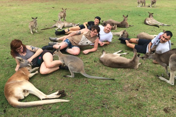 RVIVR (Australia, Japan, Southeast Asia)