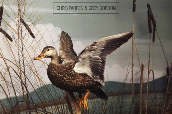 Chris Farren and Grey Gordon announce 'Ducks Fly Together'