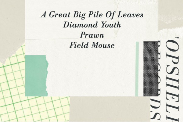 A Great Big Pile of Leaves / Diamond Youth / Prawn / Field Mouse
