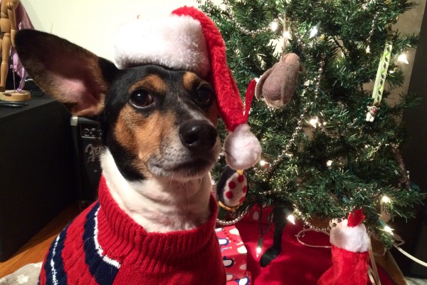 Brian Gorsegner / Shawna Potter / Nick Woods