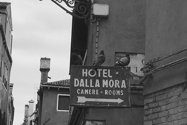 The Hemingways release new LP