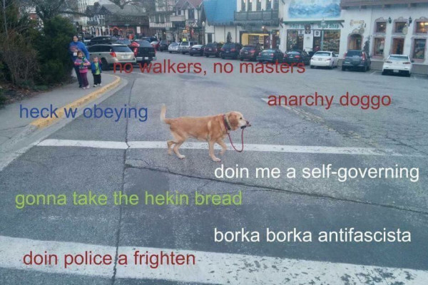 Navel Gazing July 30, 2017