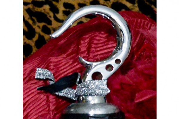 Total jerk steals one-handed guitarist's prosthetic