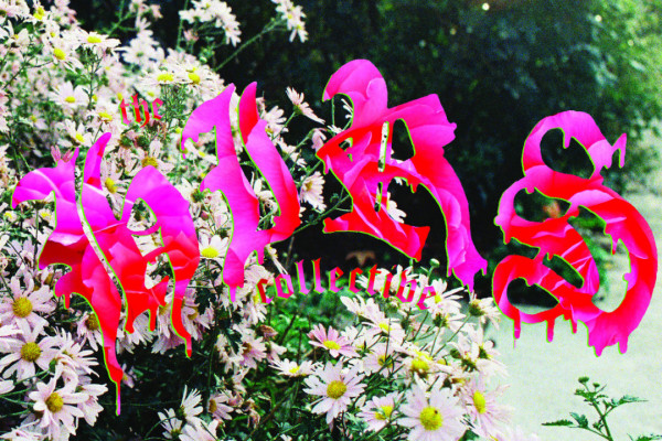 New Reviews for May 1, 2018